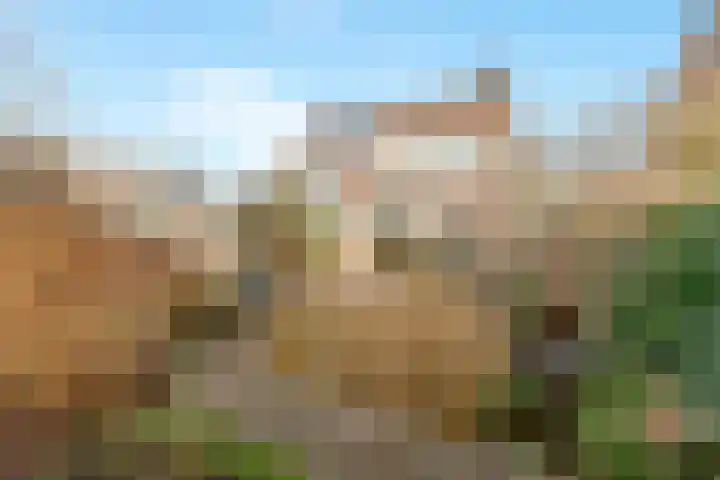 Frans Coenenstraat 6 Papendrecht thumbnail 27