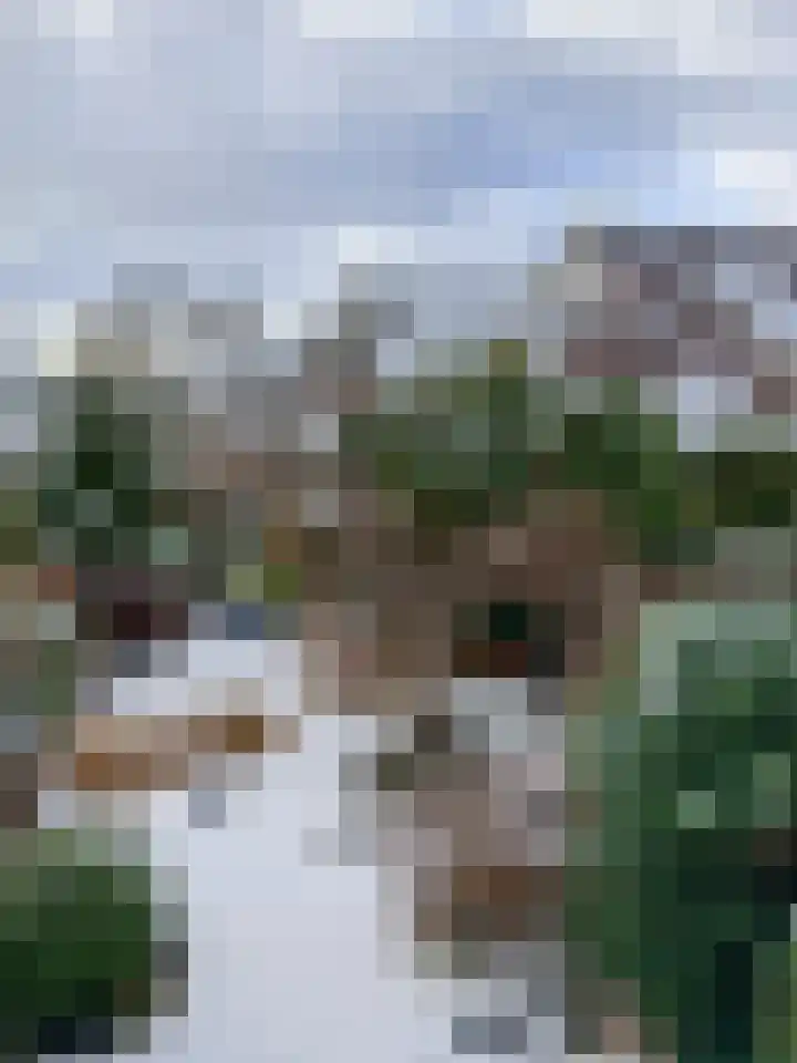 Frans Coenenstraat 6 Papendrecht thumbnail 32