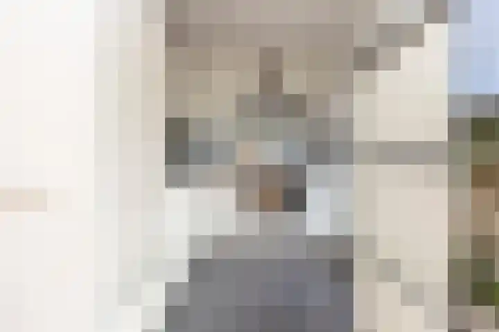 Frans Coenenstraat 6 Papendrecht thumbnail 5