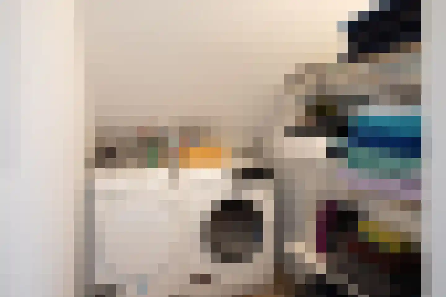 Frans de Bieslaan 59 Aalsmeer thumbnail 21