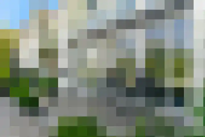 Frans de Bieslaan 63 Aalsmeer thumbnail 17