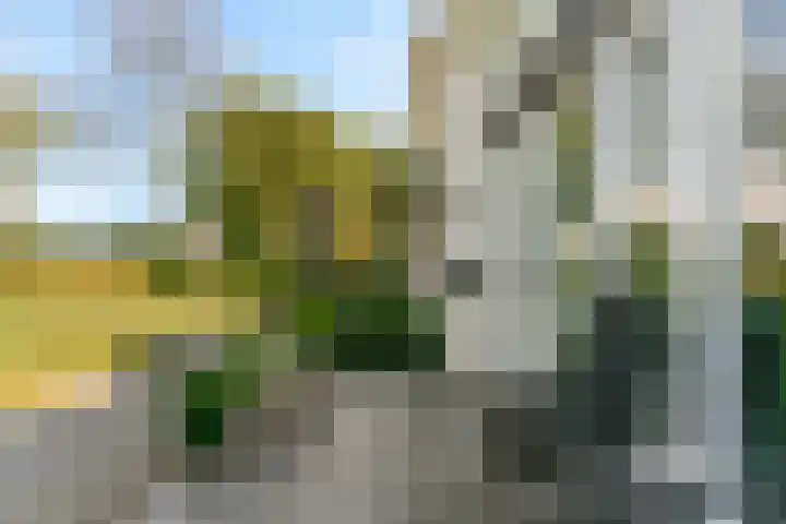 Frans de Bieslaan 63 Aalsmeer thumbnail 20
