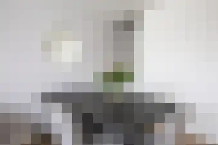 Frans de Bieslaan 67 Aalsmeer thumbnail 12