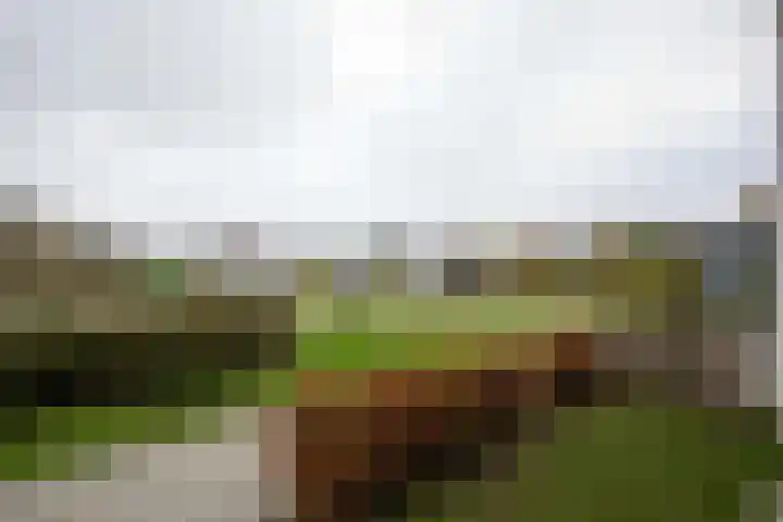 Frans de Bieslaan 67 Aalsmeer thumbnail 25