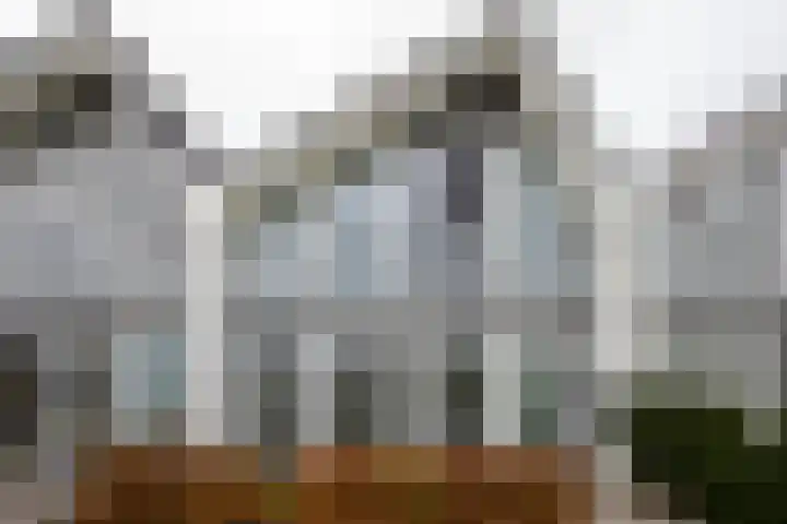 Frans de Bieslaan 67 Aalsmeer thumbnail 27