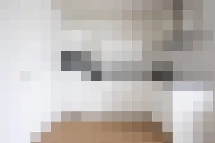 Frans de Bieslaan 67 Aalsmeer thumbnail 4