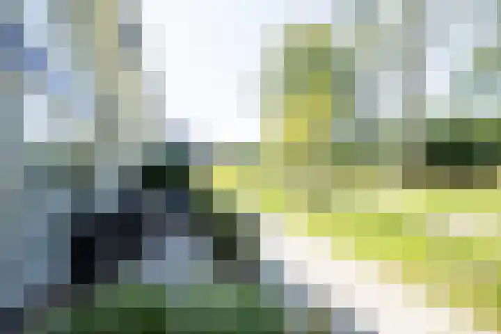 Frans de Bieslaan 75 Aalsmeer thumbnail 26