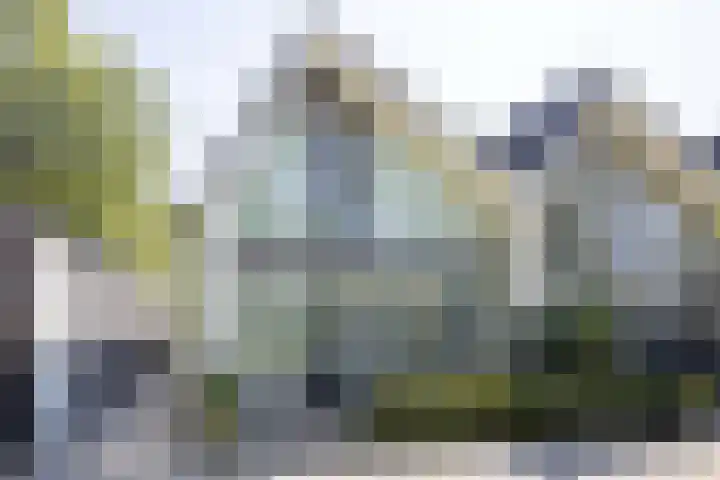 Frans de Bieslaan 75 Aalsmeer thumbnail 34