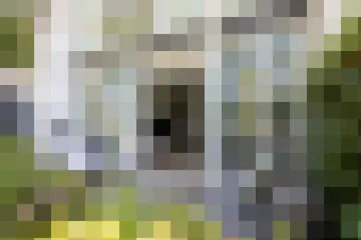 Frans de Bieslaan 75 Aalsmeer thumbnail 4
