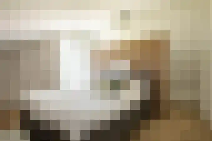 Frans de Bieslaan 75 Aalsmeer thumbnail 5