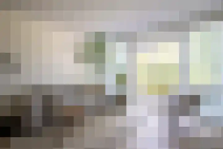 Frans de Bieslaan 75 Aalsmeer thumbnail 9
