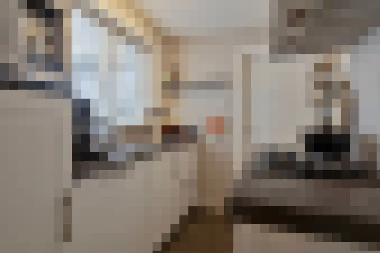Frans den Hollanderlaan 19 Goes thumbnail 13