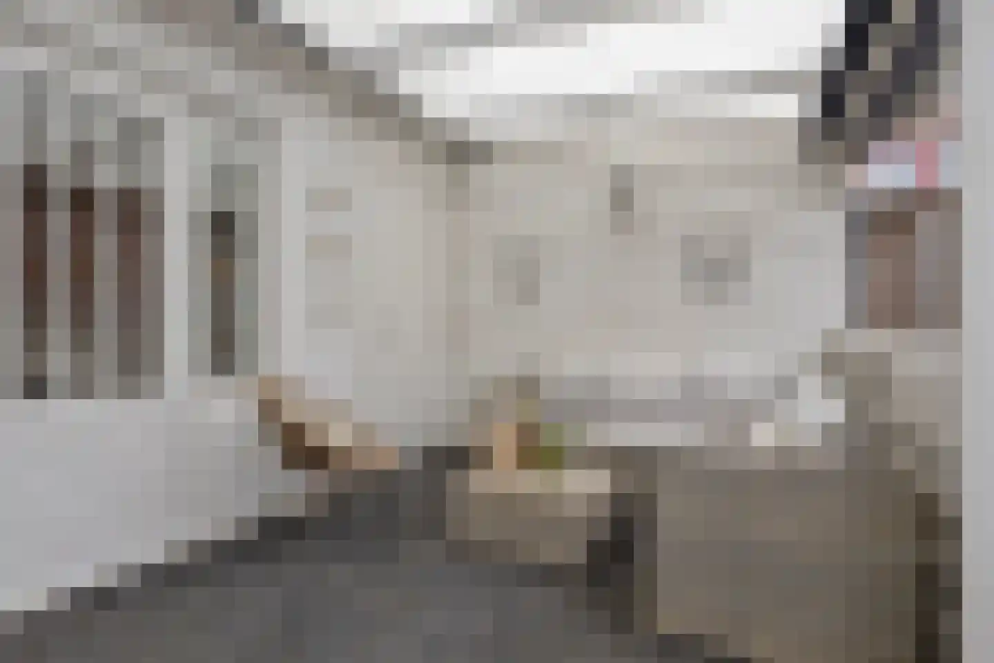 Frans den Hollanderlaan 19 Goes thumbnail 25