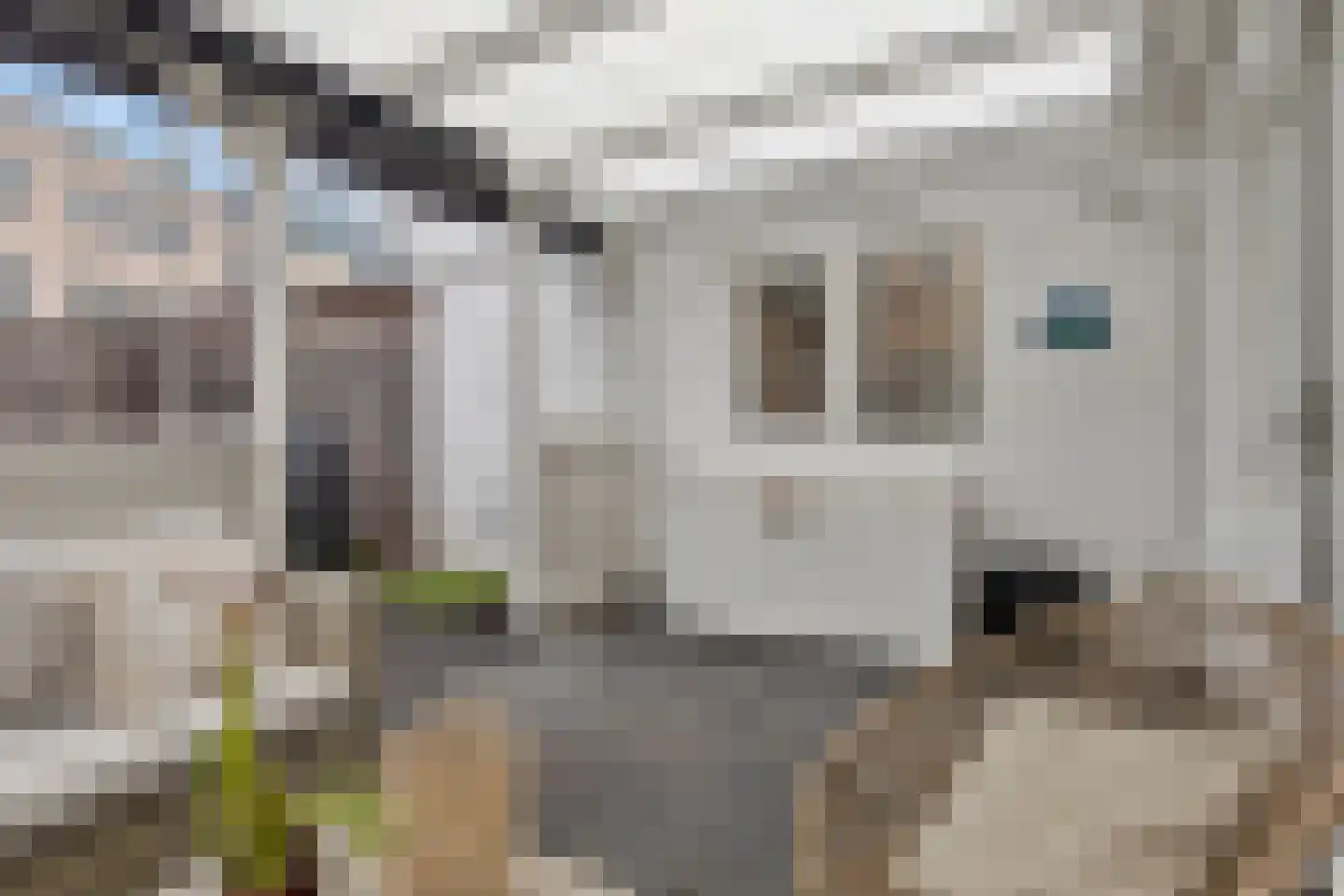 Frans den Hollanderlaan 19 Goes thumbnail 26