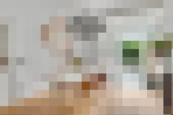 Frans Douvenstraat 3 Roermond thumbnail 11