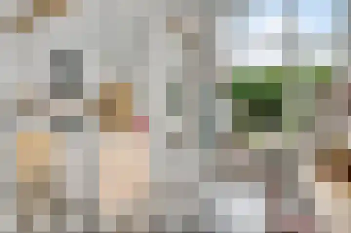 Frans Douvenstraat 3 Roermond thumbnail 12