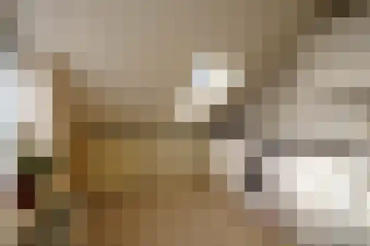 Frans Duwaerstraat 33 Almere thumbnail 34