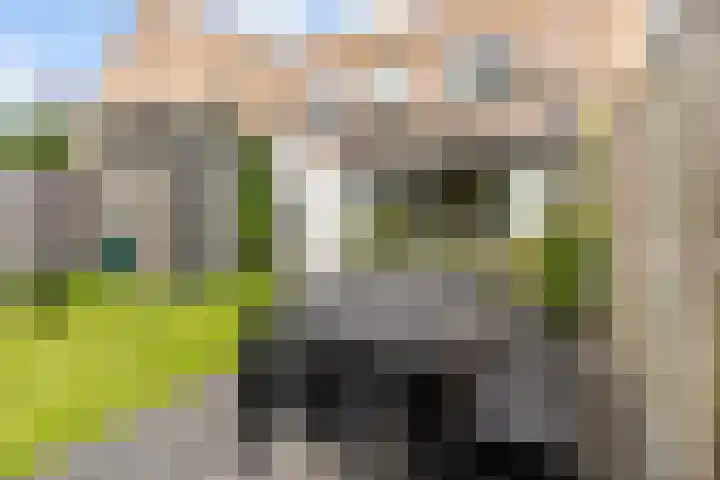 Frans Duwaerstraat 34 Almere thumbnail 43