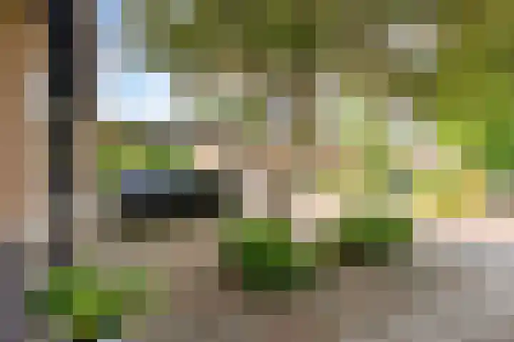 Frans Duwaerstraat 34 Almere thumbnail 52