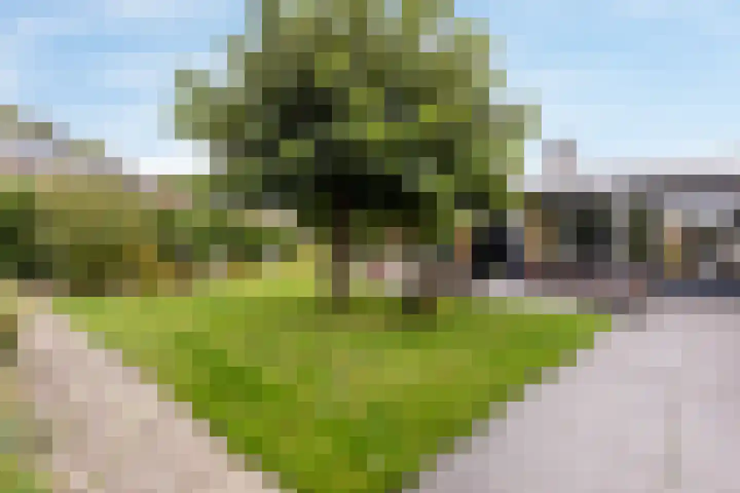 Frans Erenslaan 32 Landgraaf thumbnail 31