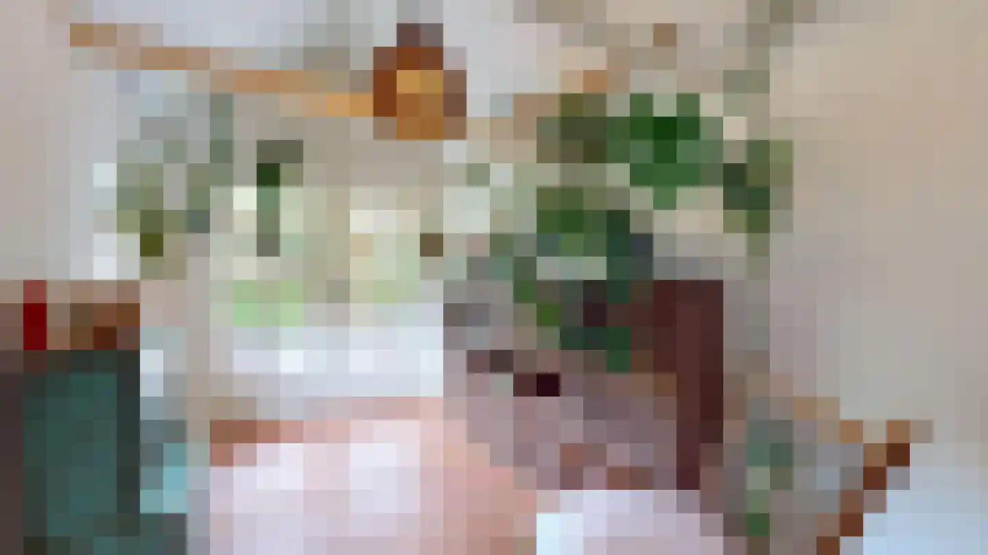Frans Erenslaan 62 Geleen thumbnail 17