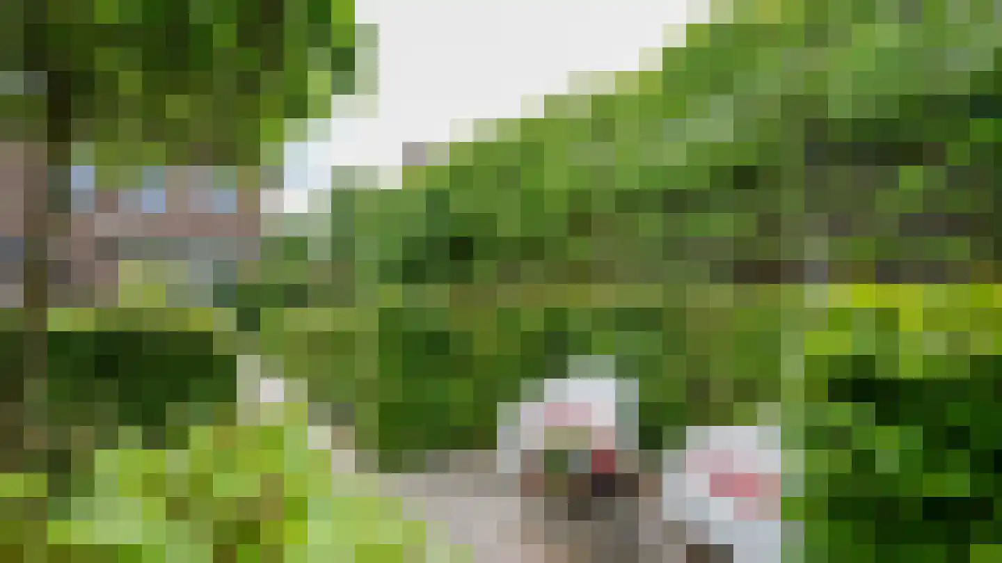 Frans Erenslaan 62 Geleen thumbnail 31