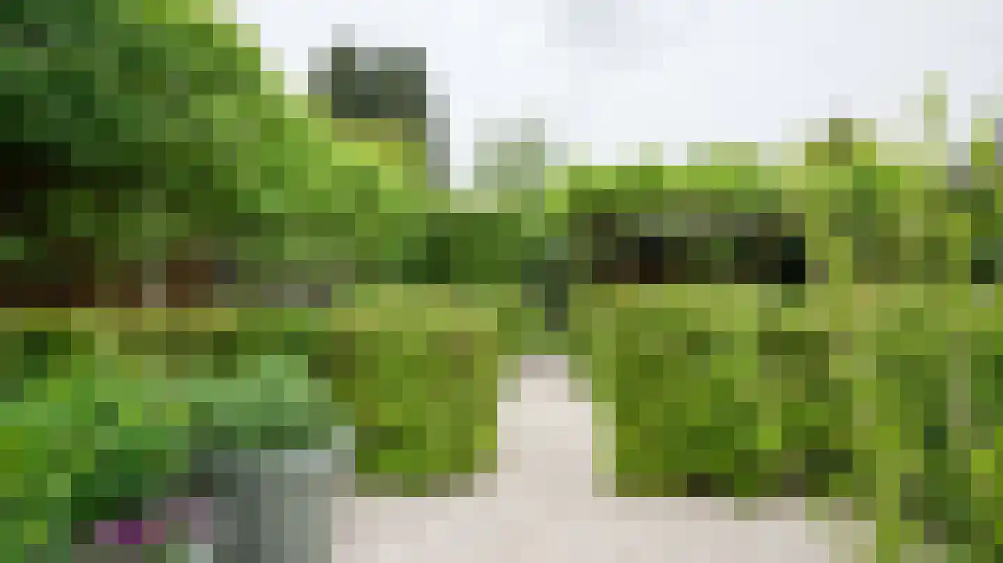 Frans Erenslaan 62 Geleen thumbnail 34