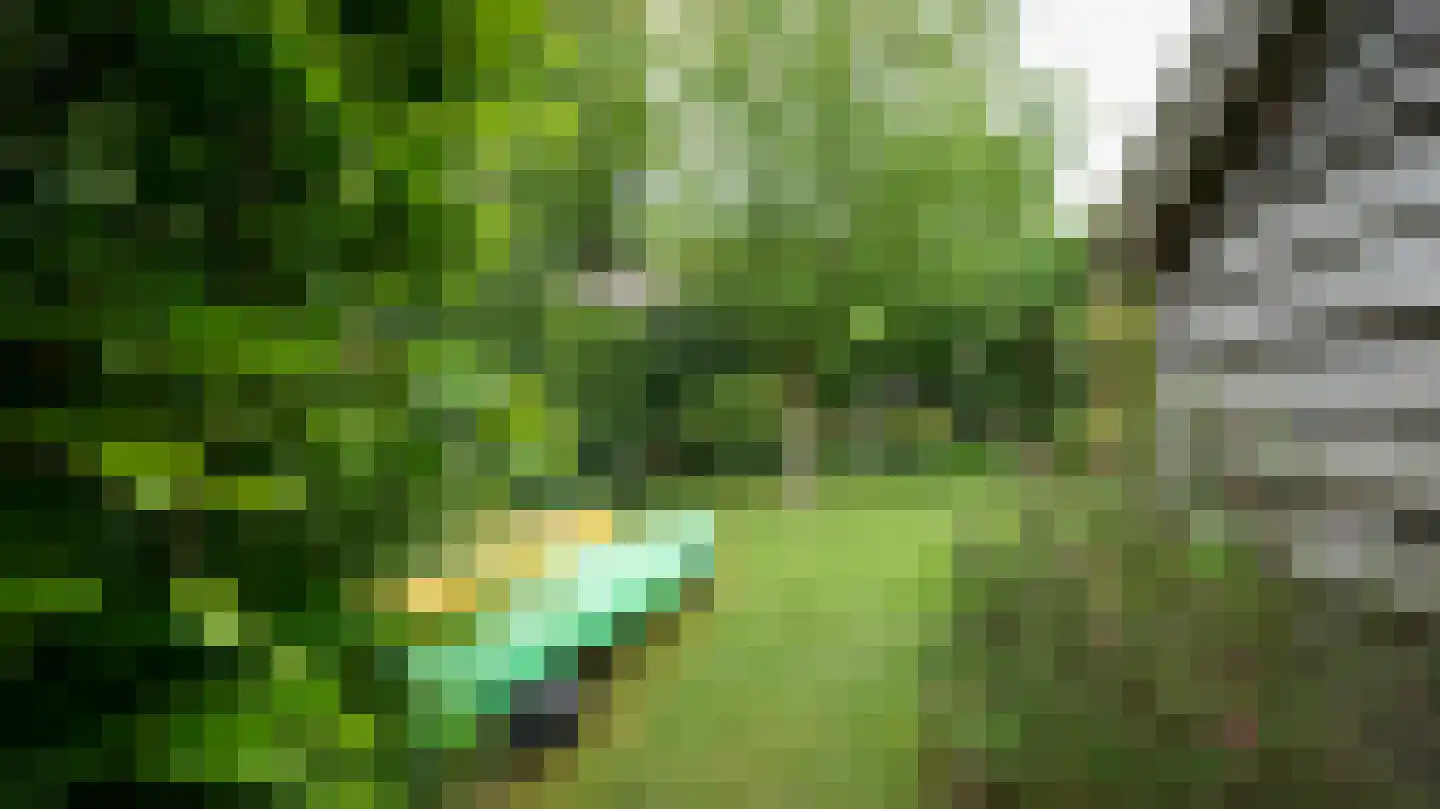 Frans Erenslaan 62 Geleen thumbnail 37