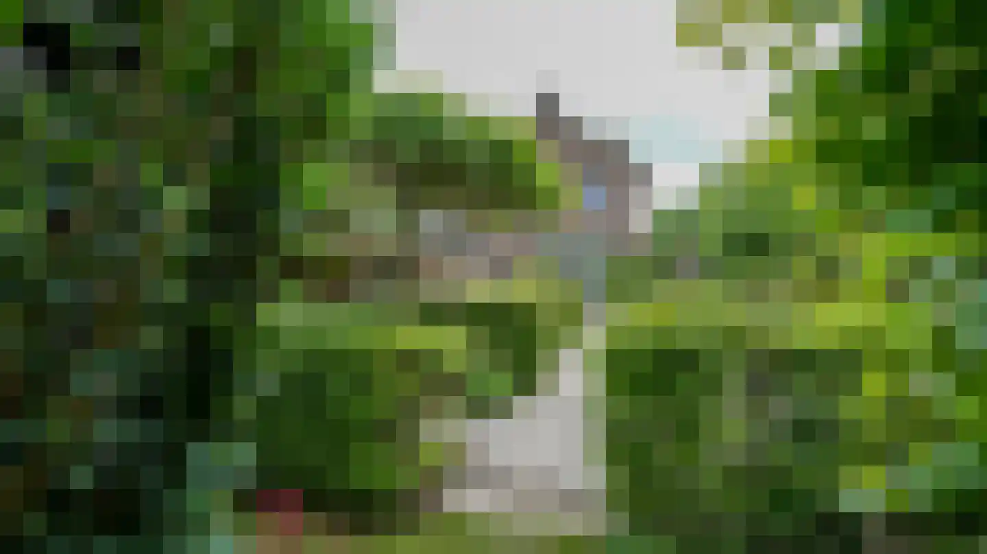Frans Erenslaan 62 Geleen thumbnail 38