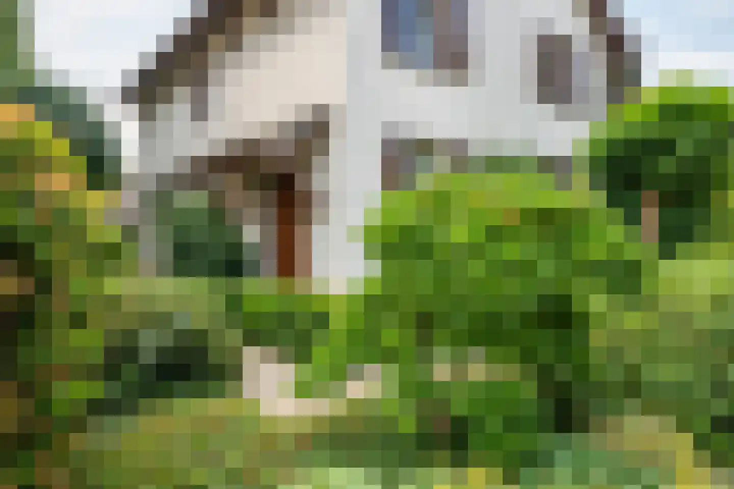 Frans Erenslaan 67 Geleen thumbnail 10
