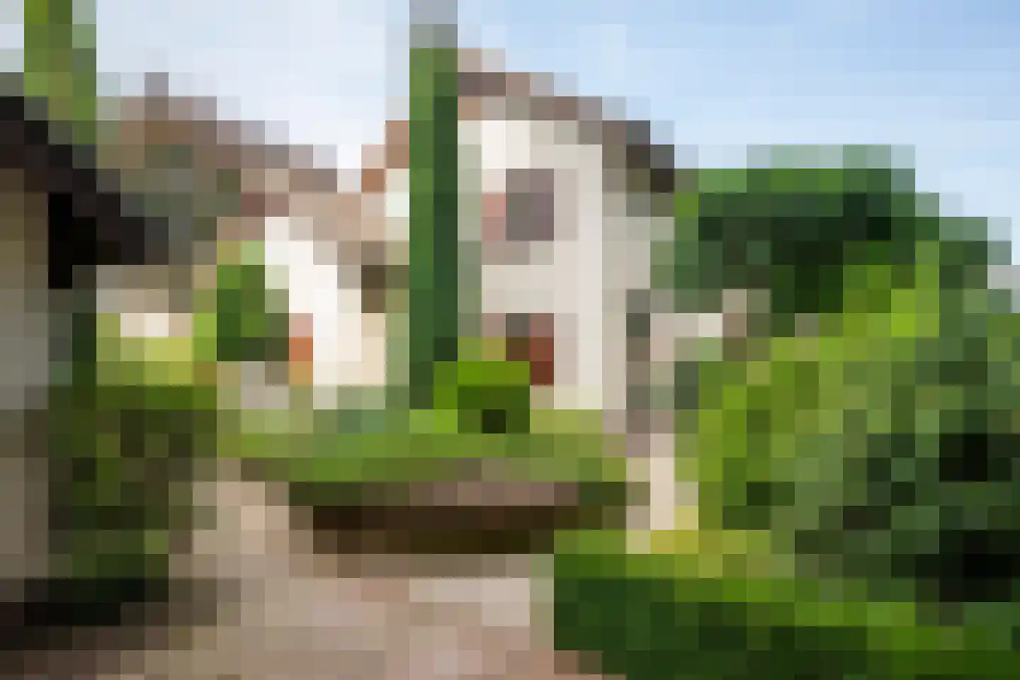 Frans Erenslaan 67 Geleen thumbnail 28