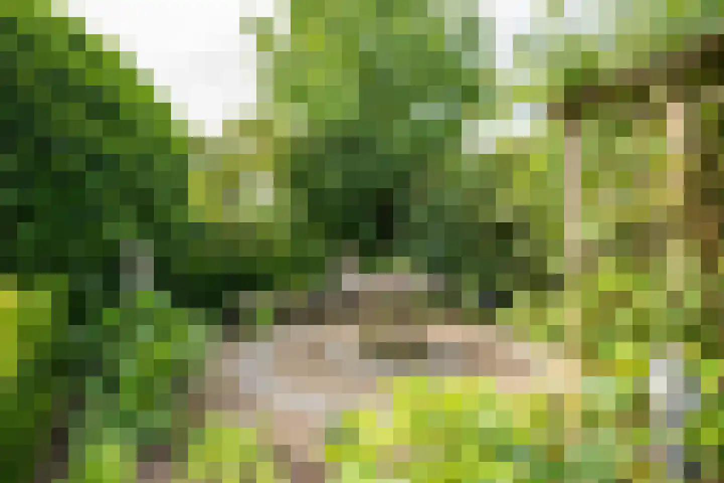 Frans Erenslaan 67 Geleen thumbnail 35