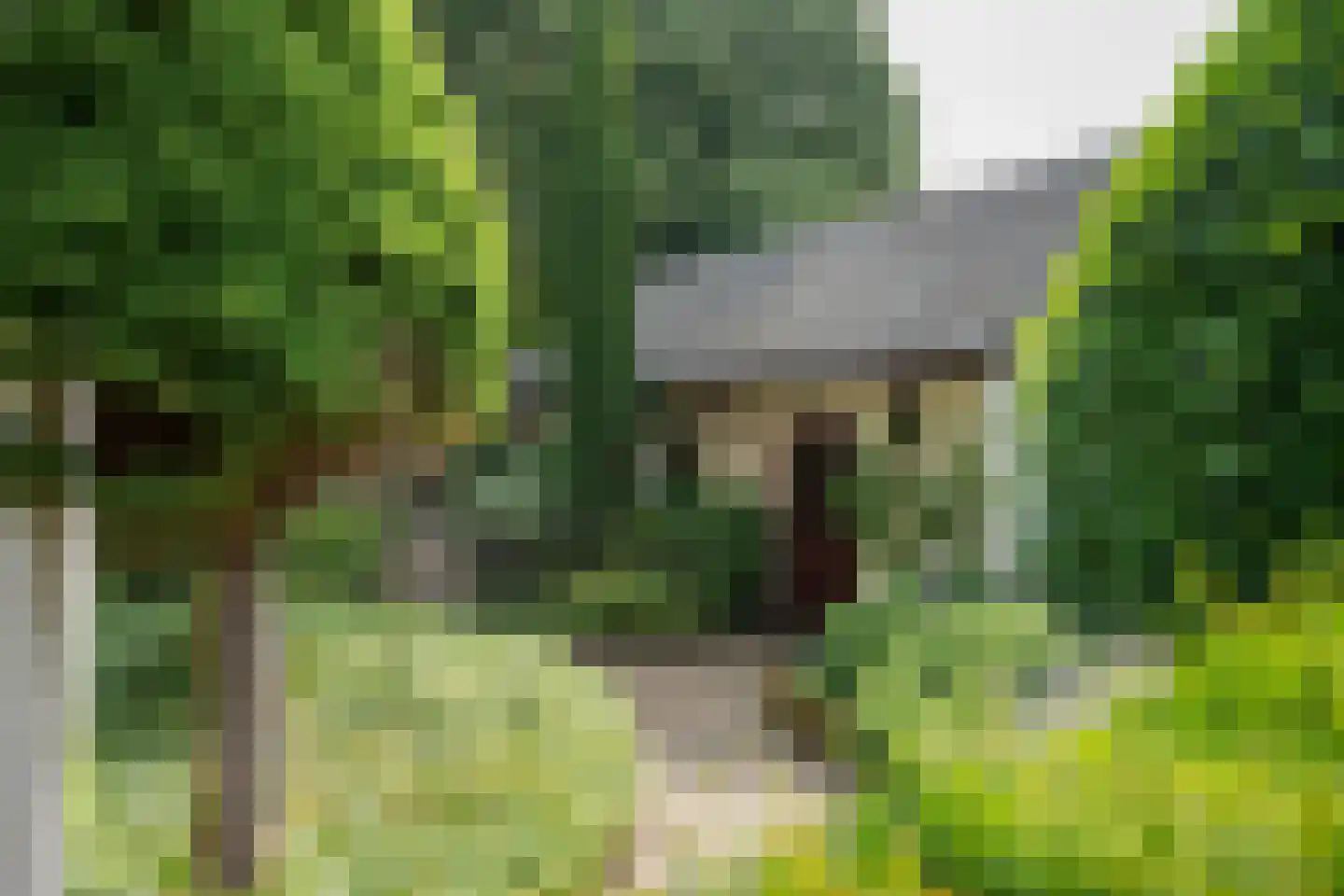 Frans Erenslaan 67 Geleen thumbnail 36