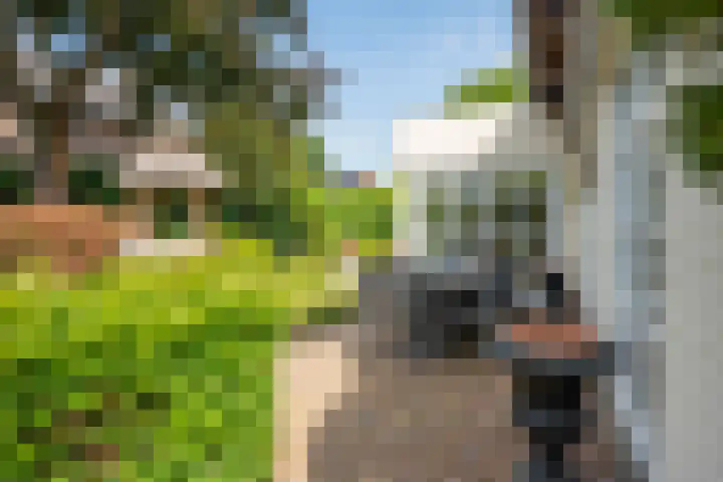 Frans Erenslaan 67 Geleen thumbnail 37