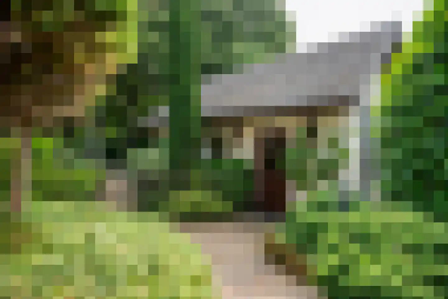Frans Erenslaan 67 Geleen thumbnail 38