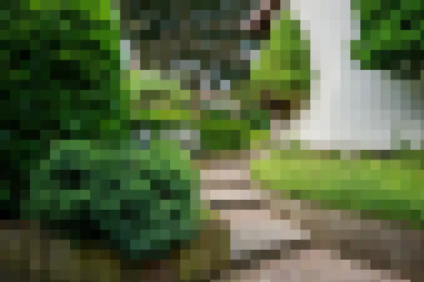Frans Erenslaan 67 Geleen thumbnail 39