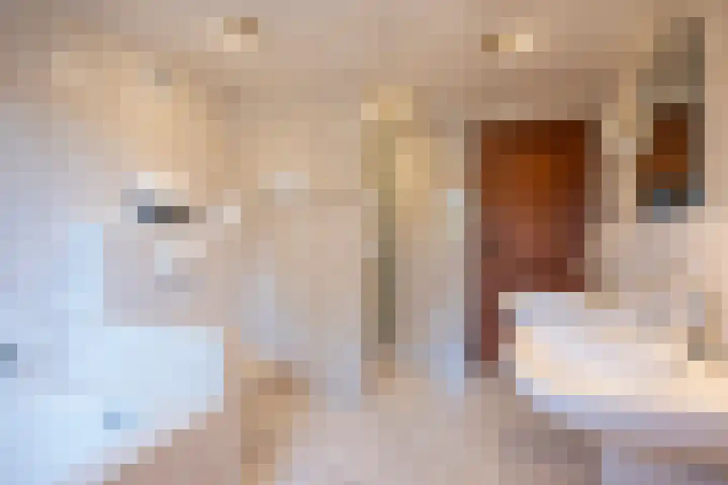Frans Erenslaan 67 Geleen thumbnail 42