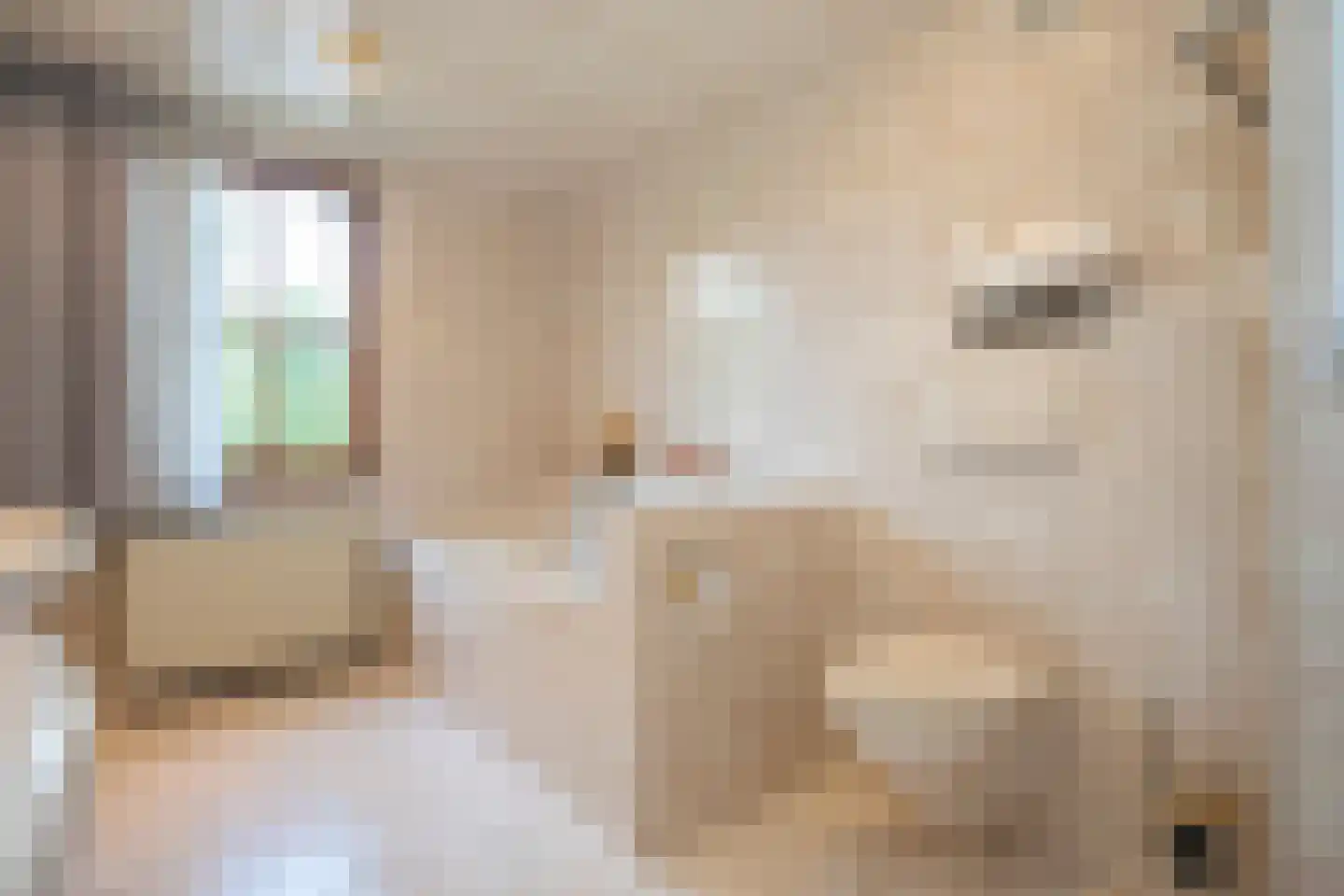 Frans Erenslaan 67 Geleen thumbnail 44