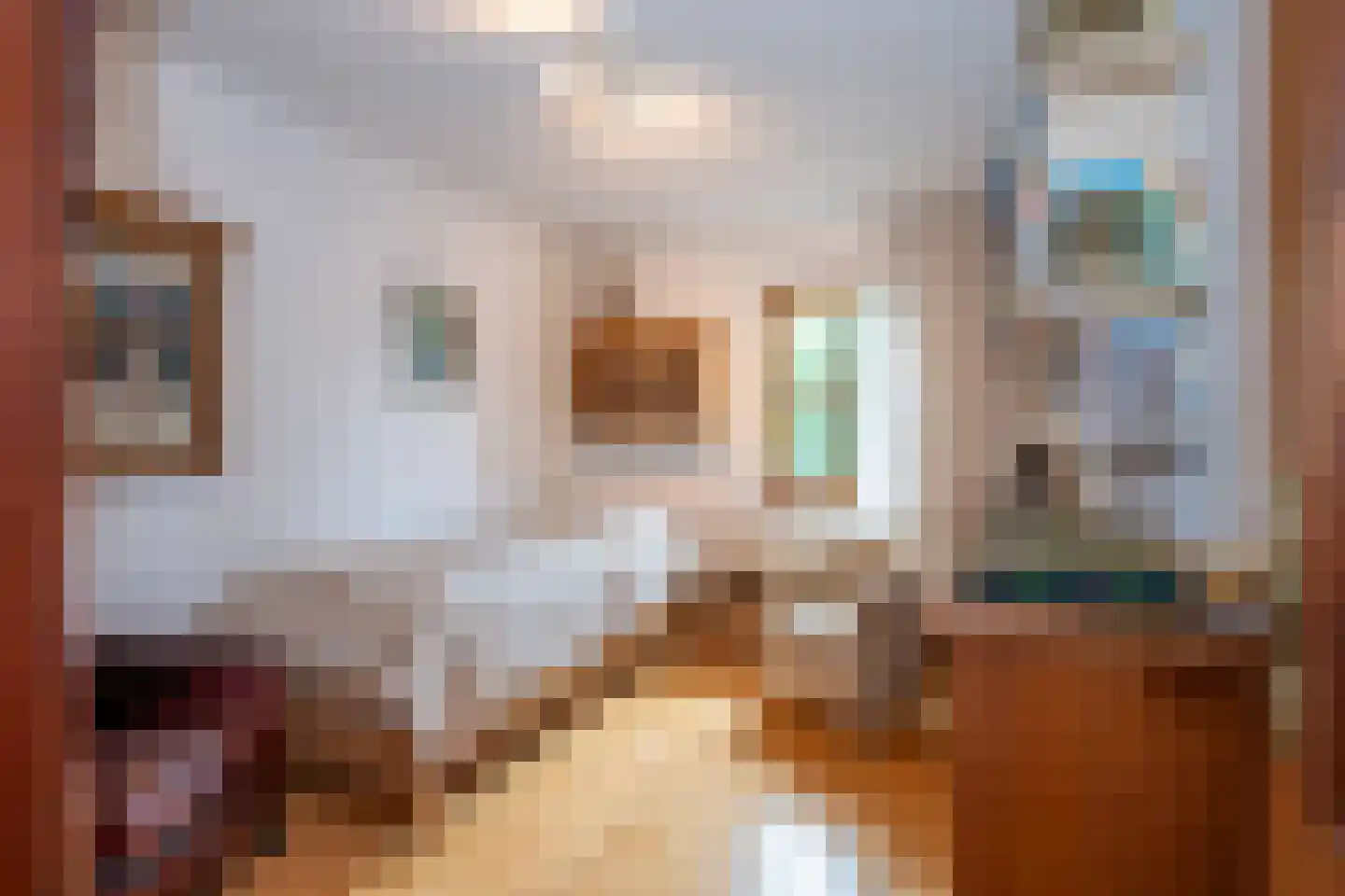Frans Erenslaan 67 Geleen thumbnail 45