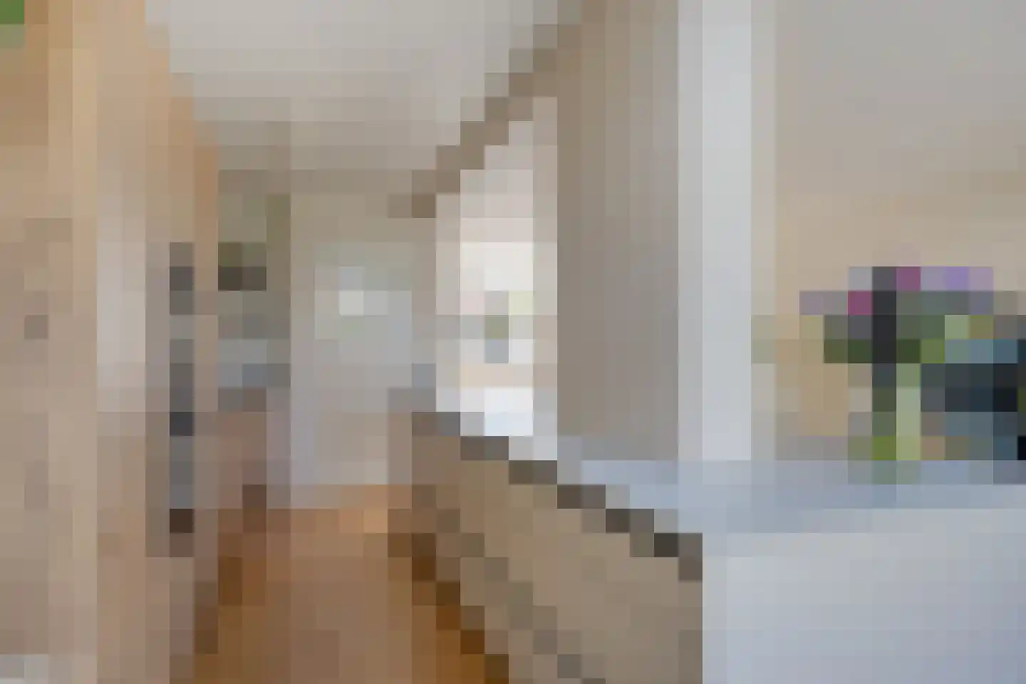 Frans Erensstraat 1 's-Hertogenbosch thumbnail 8