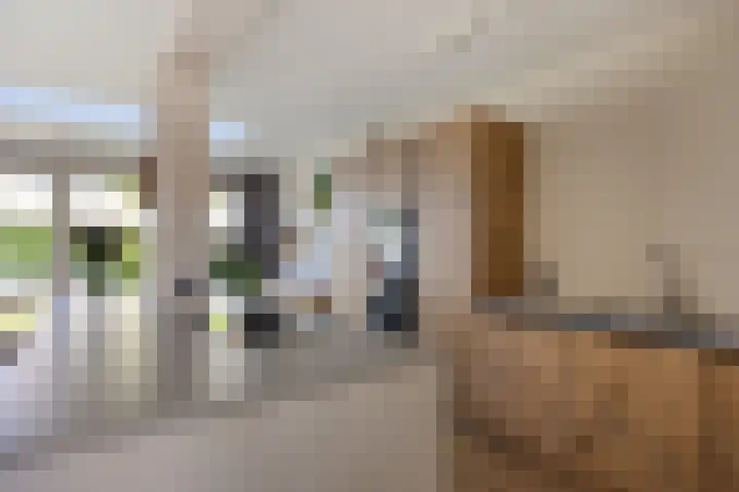 Frans Erensstraat 1 's-Hertogenbosch thumbnail 9