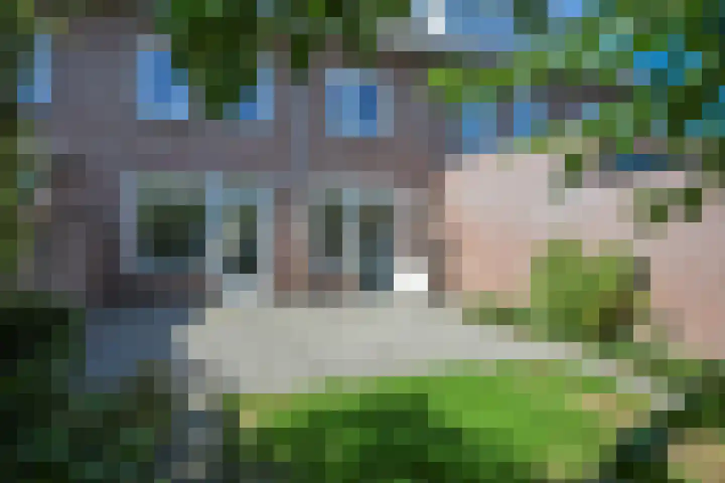 Frans Erensstraat 13 Sittard thumbnail 17