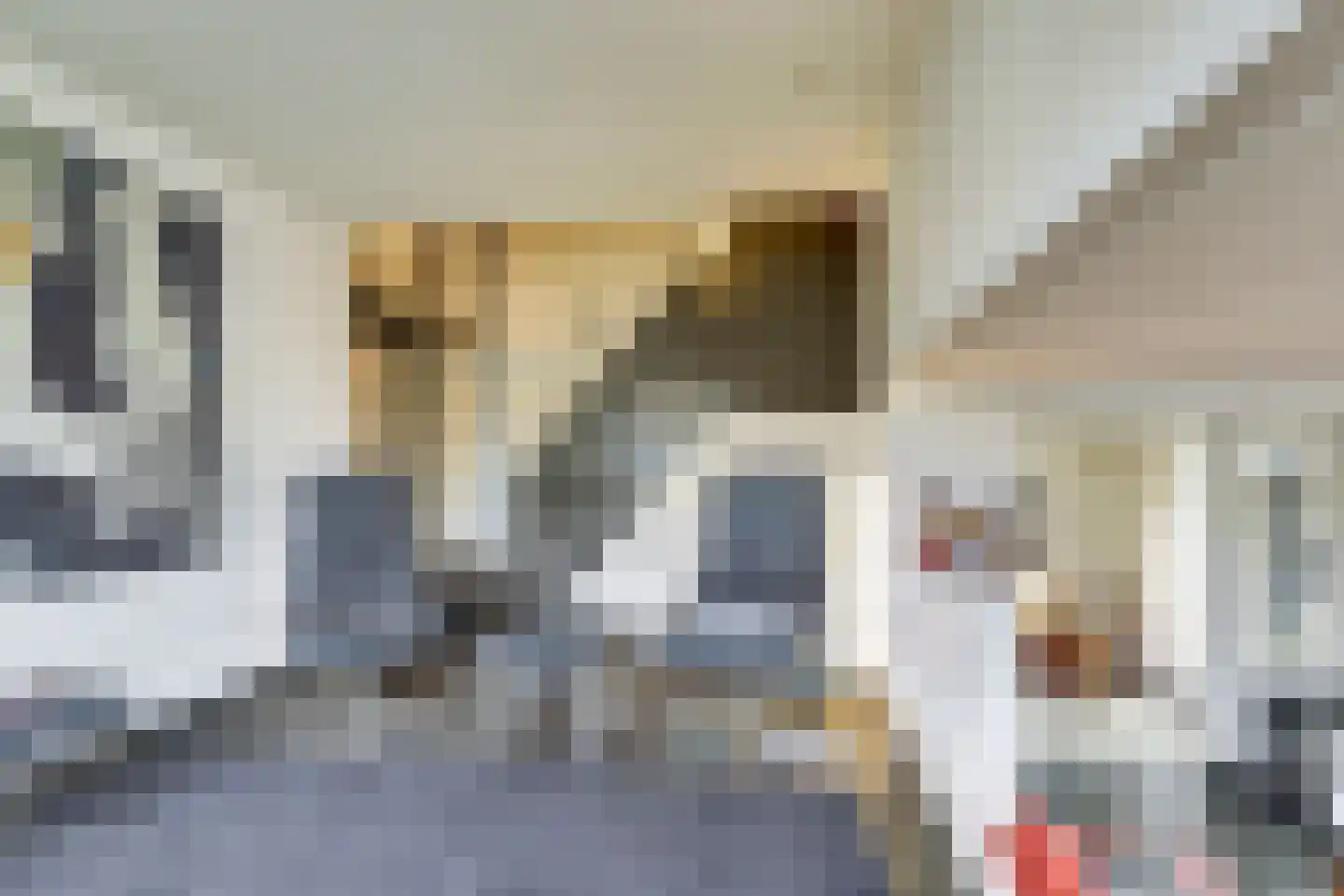 Frans Erensstraat 14 Melick thumbnail 10