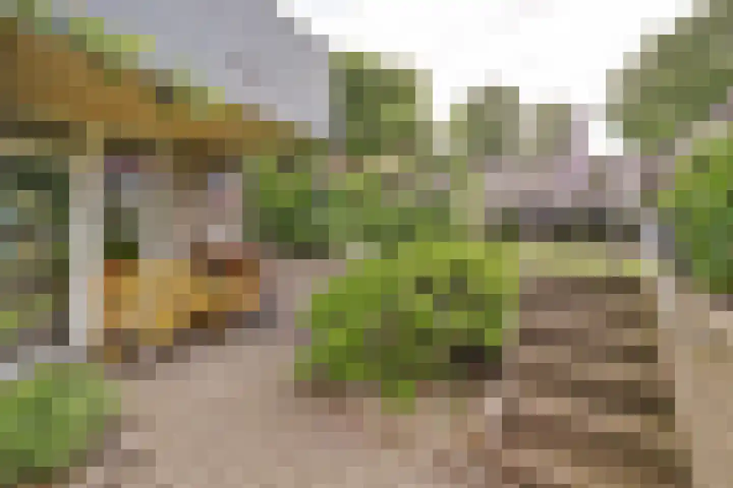Frans Erensstraat 14 Melick thumbnail 31