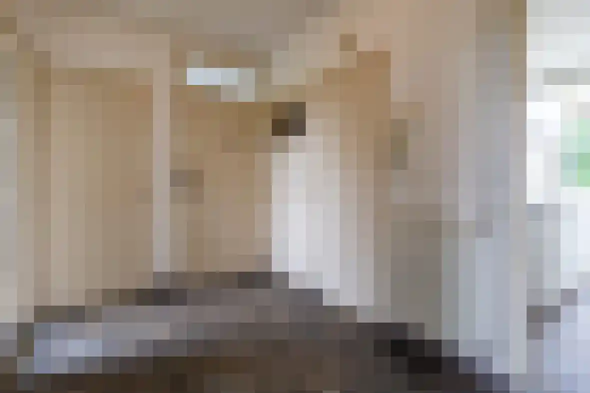 Frans Erensstraat 15 Beek thumbnail 5