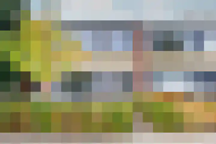 Frans Erensstraat 16 Haarlem