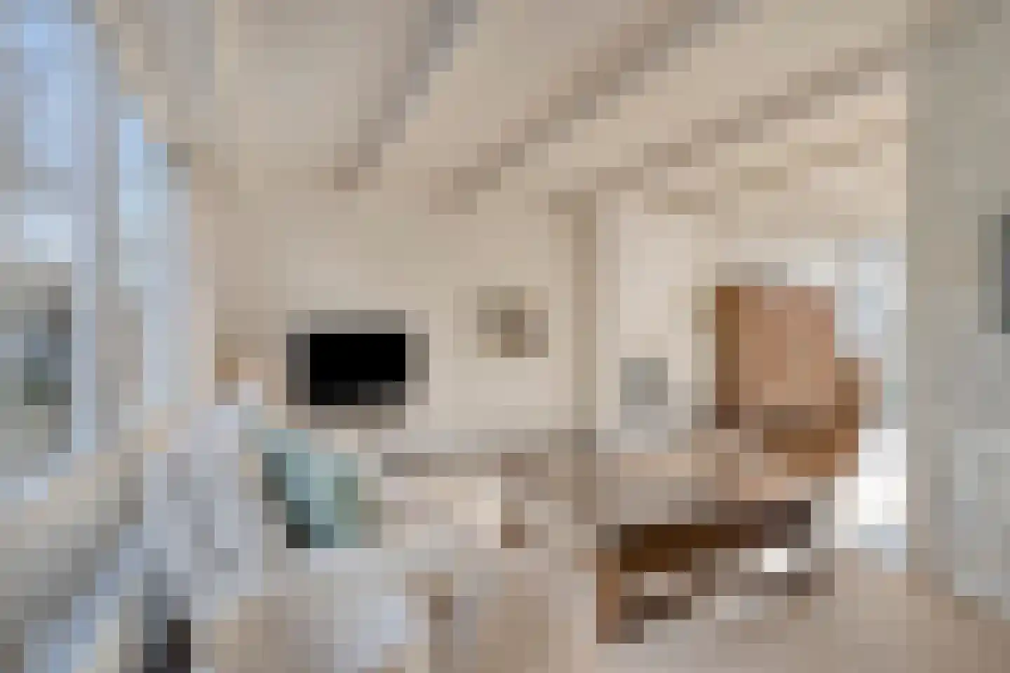 Frans Erensstraat 16 Tilburg thumbnail 12