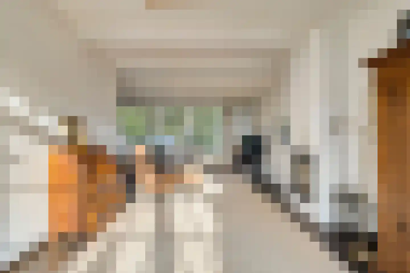 Frans Erensstraat 16 Tilburg thumbnail 15