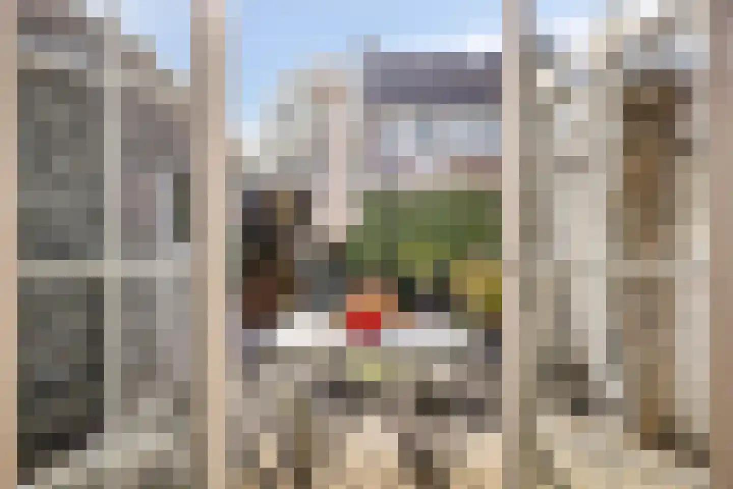Frans Erensstraat 16 Tilburg thumbnail 43