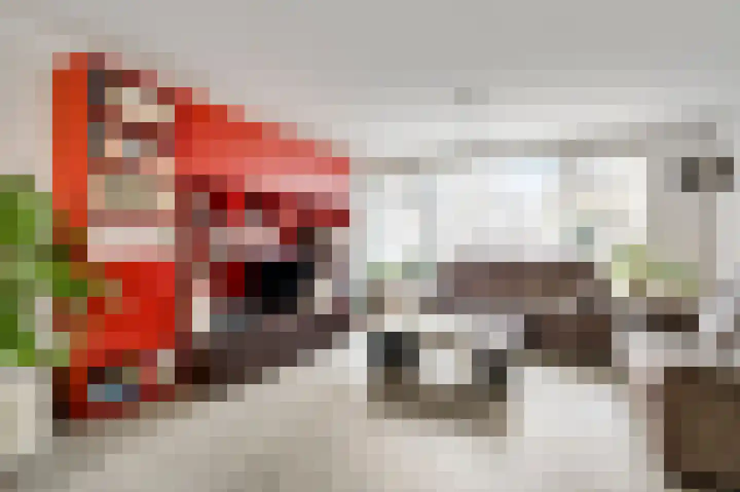Frans Erensstraat 3 Beek thumbnail 10